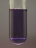 cobalt chloride le chatelier lab